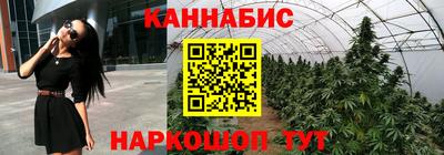 Альфа ПВП Кимры