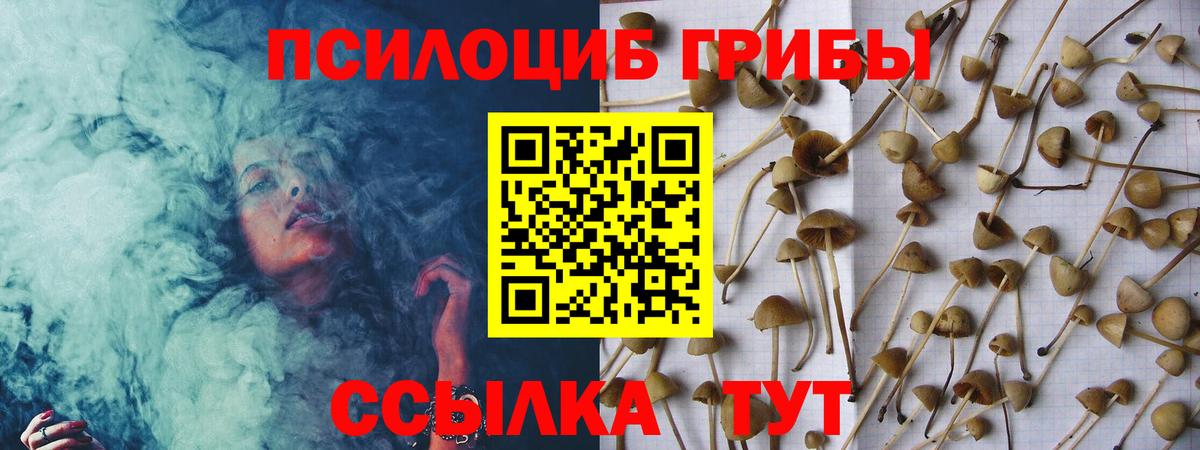 Псилоцибиновые грибы мицелий  где продают   Киров  Псилоцибиновые грибы Cubensis  Вход с VPN 