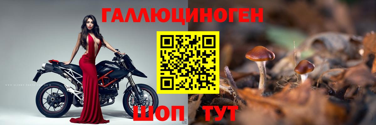 Галлюциногенные грибы GOLDEN TEACHER Киров